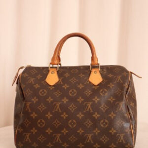 Louis Vuitton Monogram Speedy 30 Bag