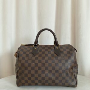 Louis Vuitton Damier Ebene Speedy 30 Bag