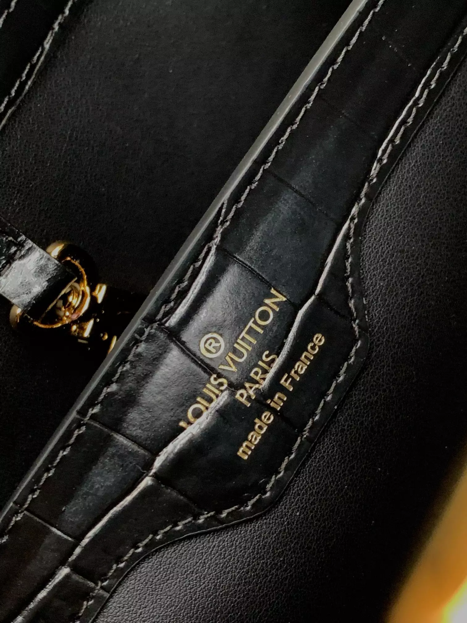 LV Capucines MM Crocodilien Mat in Black - Repbags.is - Image 11