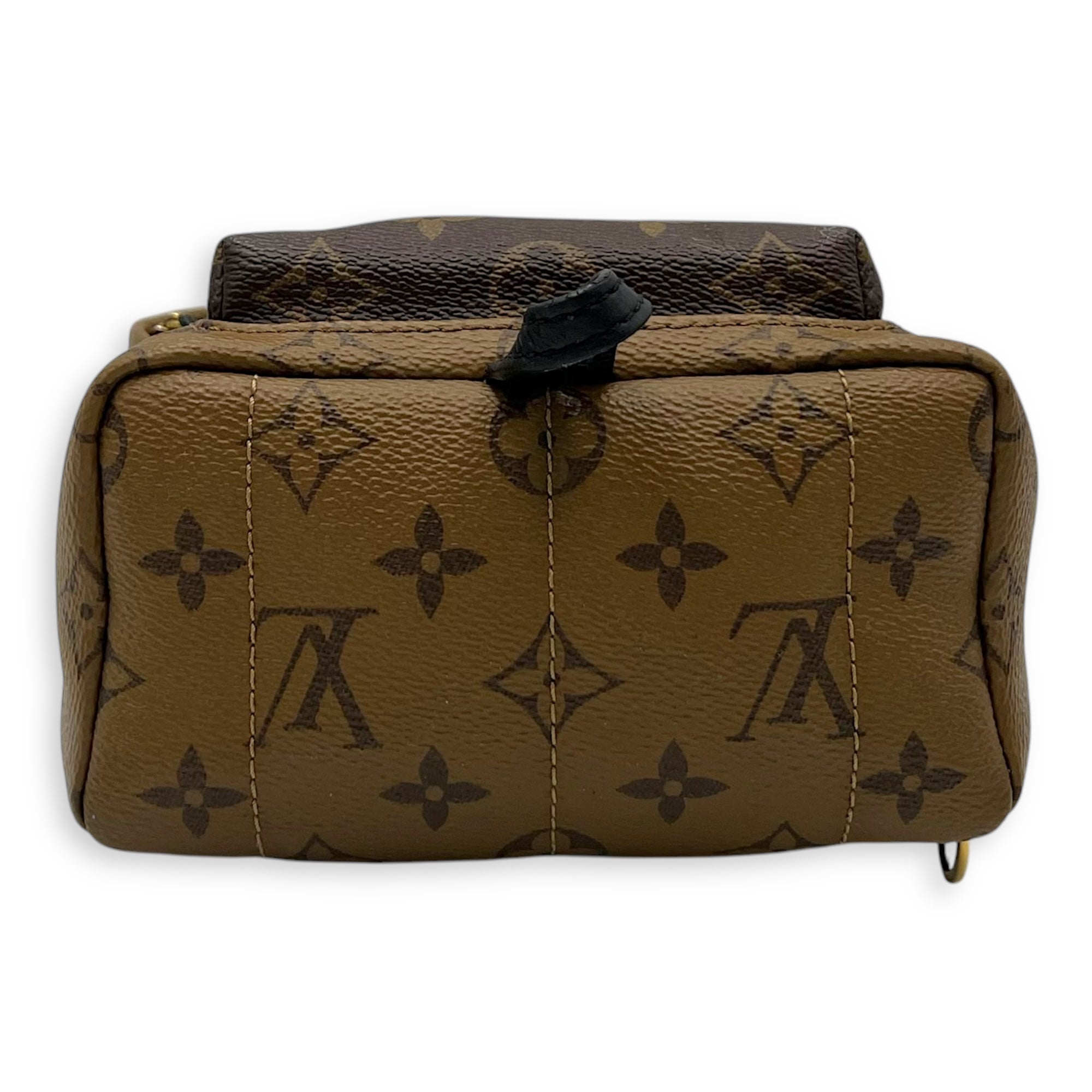 Palm Springs Mini Brown Backpack in Monogram Coated Canvas, Gold hardware - Image 6