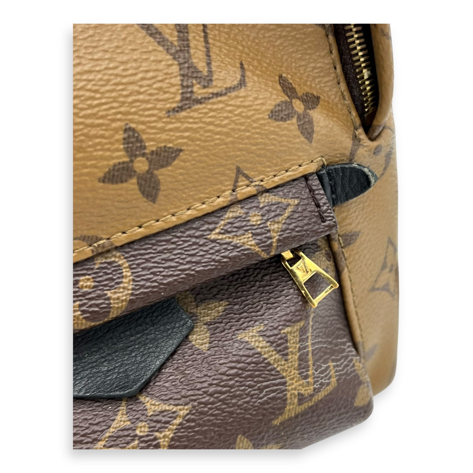 Palm Springs Mini Brown Backpack in Monogram Coated Canvas, Gold hardware - Image 8