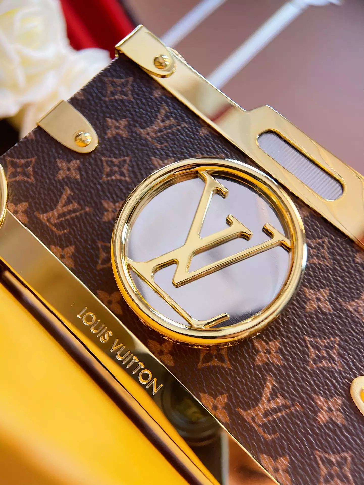 Pic Trunk Monogram Canvas Calf Leather Case - Repbags.ru - Image 7