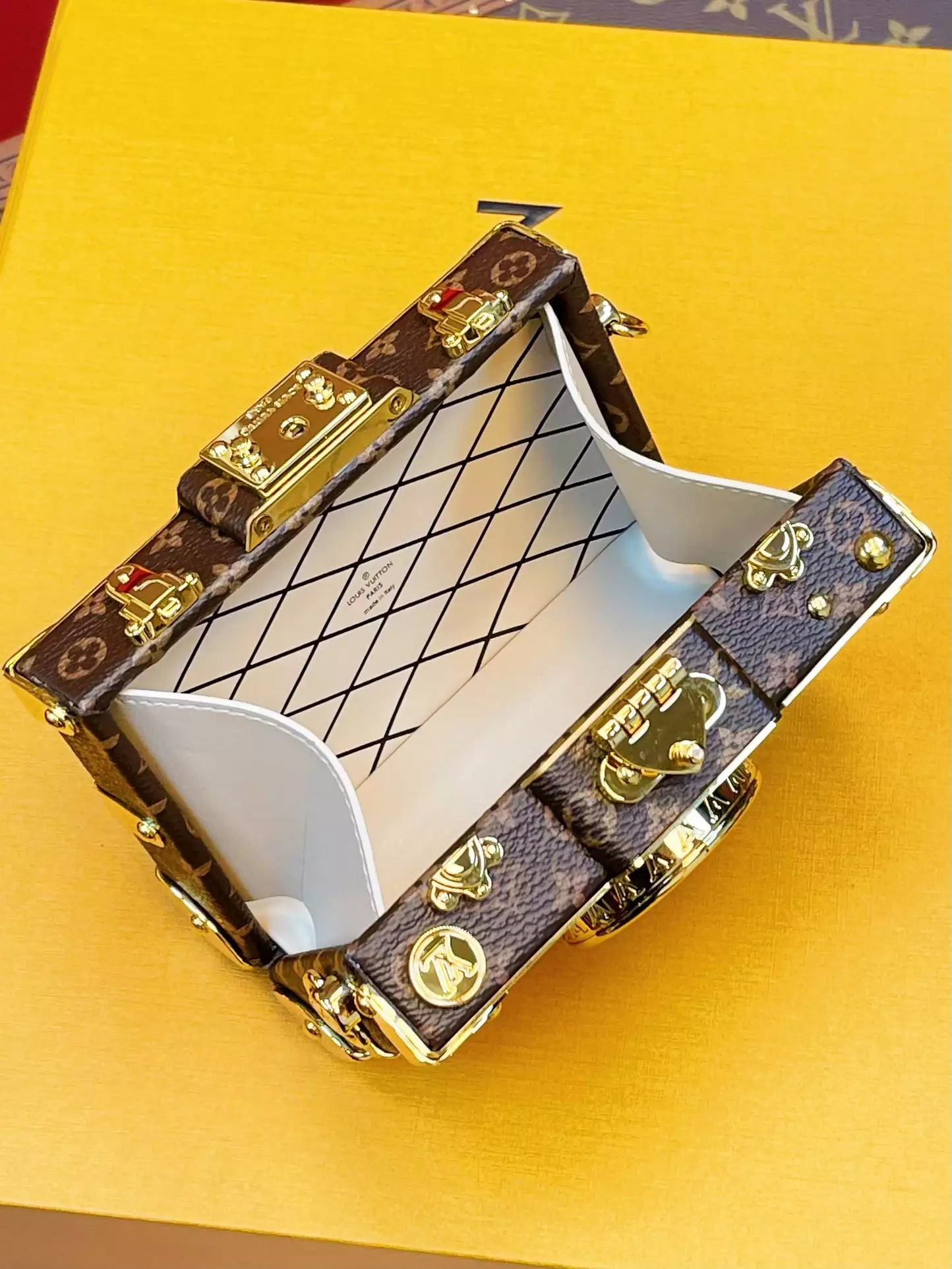 Pic Trunk Monogram Canvas Calf Leather Case - Repbags.ru - Image 9