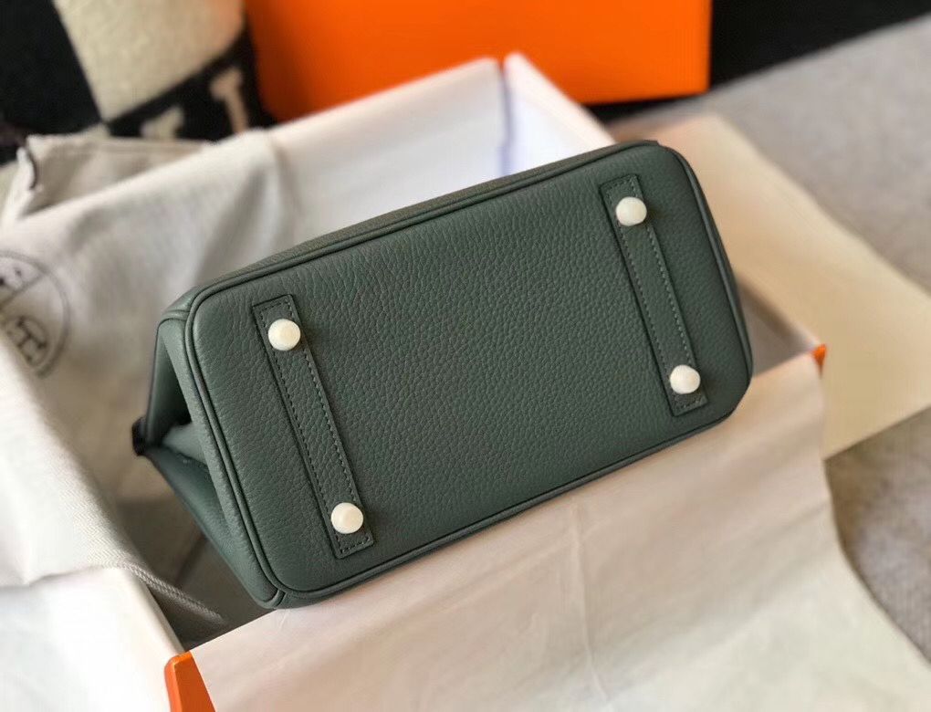 Hermes Birkin 25cm Bag In Vert Amande Clemence Leather GHW - Image 7