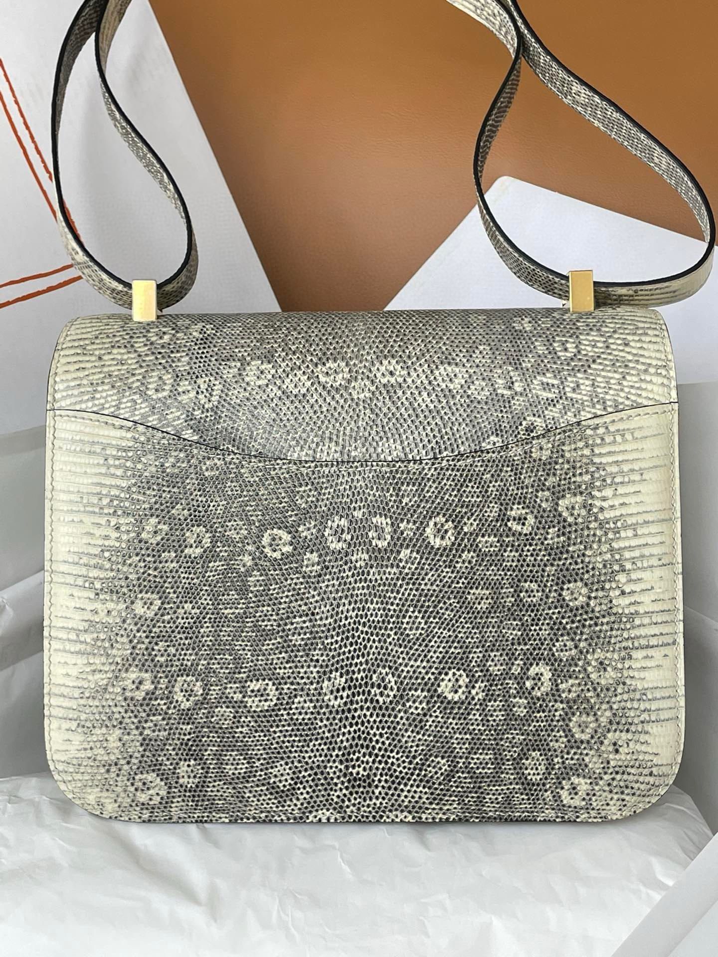 Hermes Constance 24 Handmade Bag in Ombre Natural Lizard Skin - Image 7