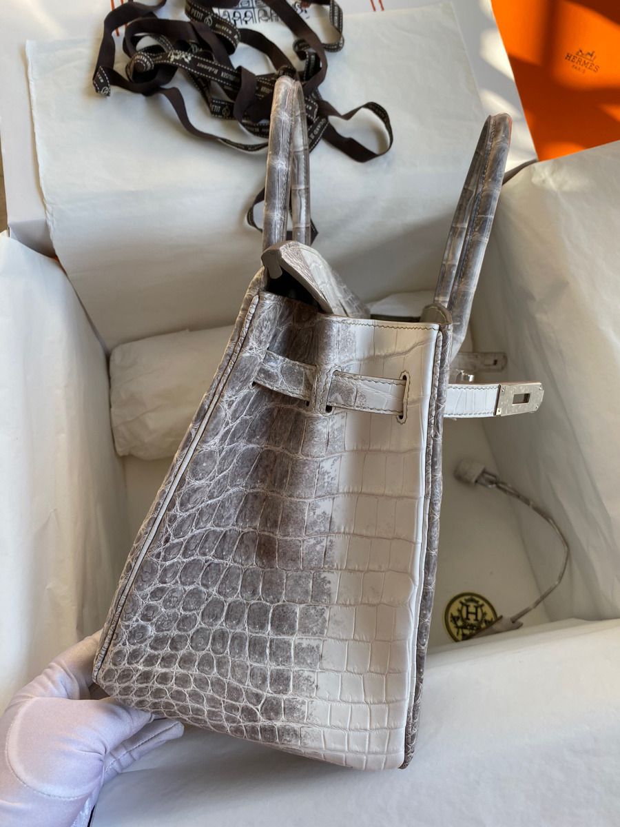 Hermes Birkin 25 Retourne Bag In Himalaya Niloticus Crocodile Skin - Image 6