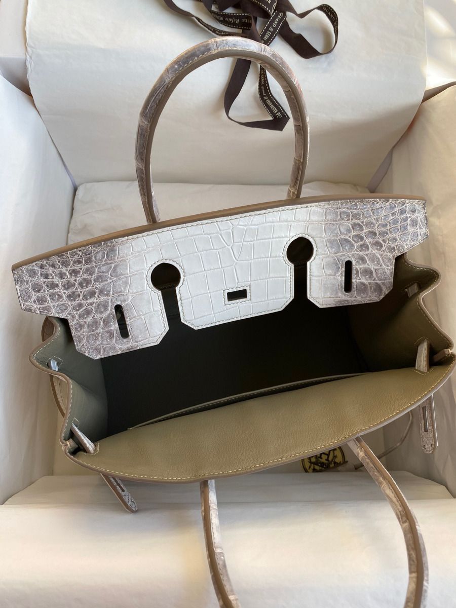 Hermes Birkin 25 Retourne Bag In Himalaya Niloticus Crocodile Skin - Image 8