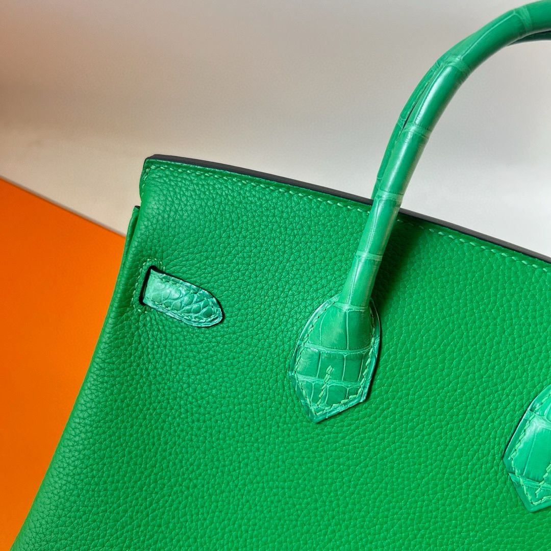 Hermes Touch Birkin 25 Bag in Bambou Clemence and Shiny Alligator Leather - Image 7