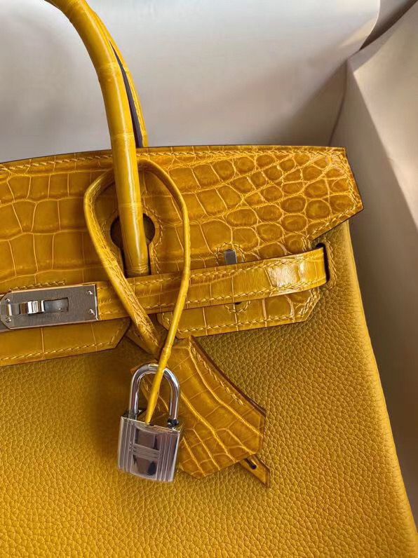 Hermes Touch Birkin 25 Bag In Yellow Shiny Niloticus Crocodile Skin - Image 4