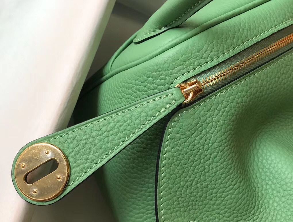 Hermes Lindy Mini Bag In Vert Criquet Clemence Leather GHW - Image 7
