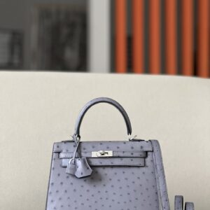 Kelly 25 Ostrich Gris Agate (82) Palladium Hardware
